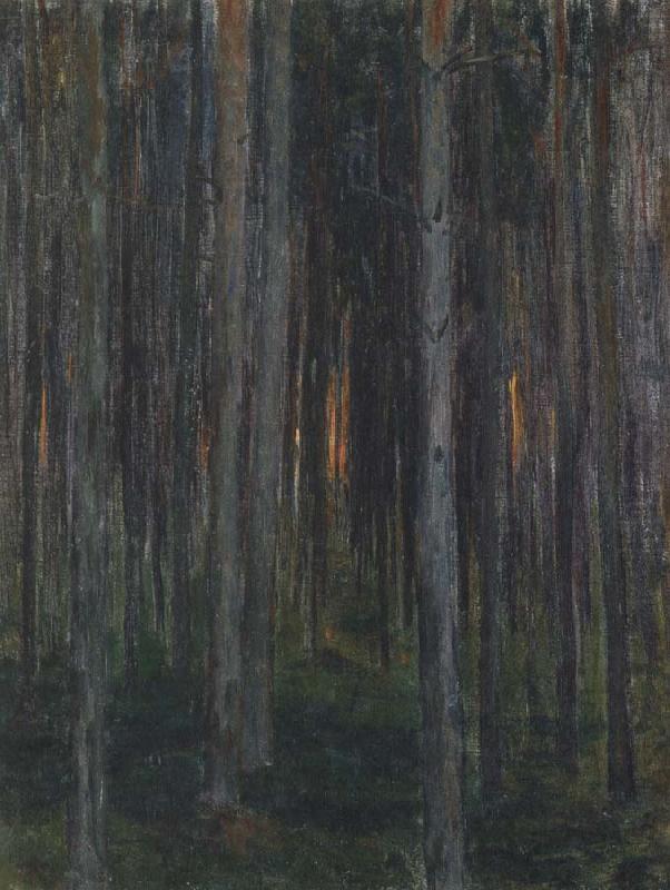 skogen skiss, unknow artist